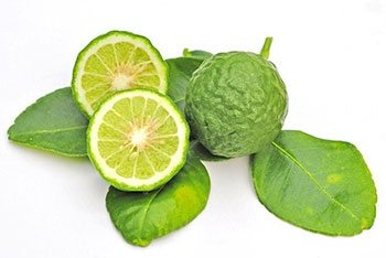 kaffir lime 1